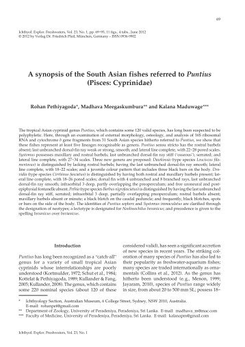 A synopsis of the South Asian fishes referred to Puntius - Verlag Dr ...