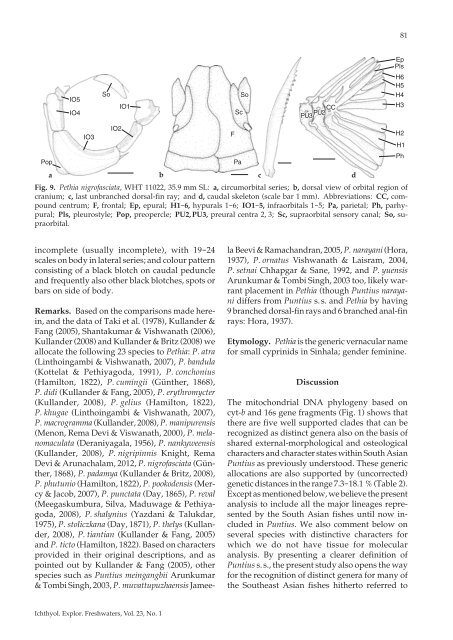 A synopsis of the South Asian fishes referred to Puntius - Verlag Dr ...