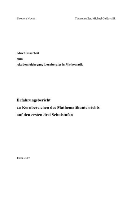 Erfahrungsbericht zu Kernbereichen des Mathematikunterrichts auf ...