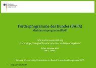 Förderprogramme des Bundes (Bafa) - ThEGA
