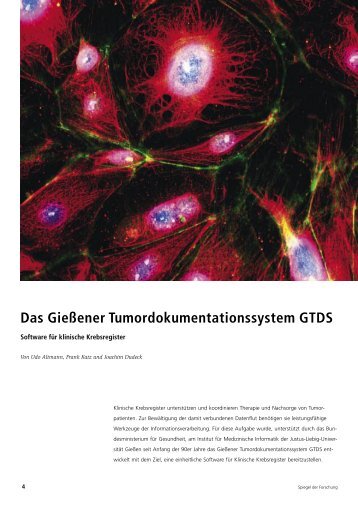 Das Gießener Tumordokumentationssystem GTDS - Justus-Liebig ...