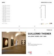 GUILLERMO THIEMER - Centro Cultural Recoleta