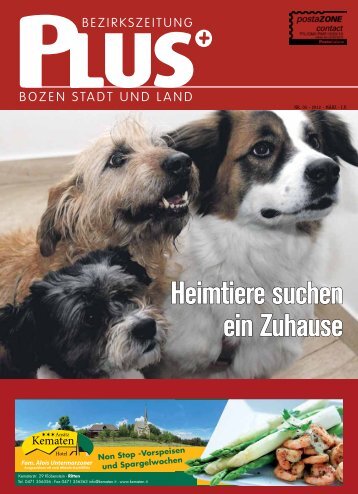 SOS: Heimtiere suchen ein Zuhause - Zu den Bezirkszeitungen