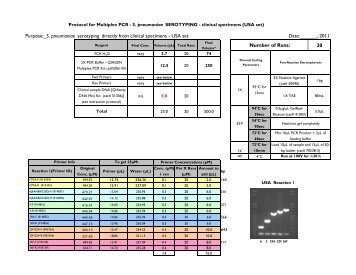 Protocol for Multiplex PCR - S. pneumoniae Serotyping - clinical ...