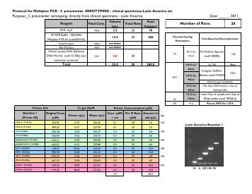 Protocol for Multiplex PCR - S. pneumoniae Serotyping - clinical ...