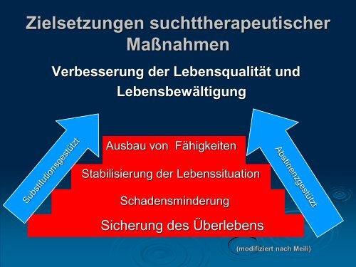 Substitution und Drogenfreiheit (Dr. Manfred Nowak ... - Ludwigsmühle