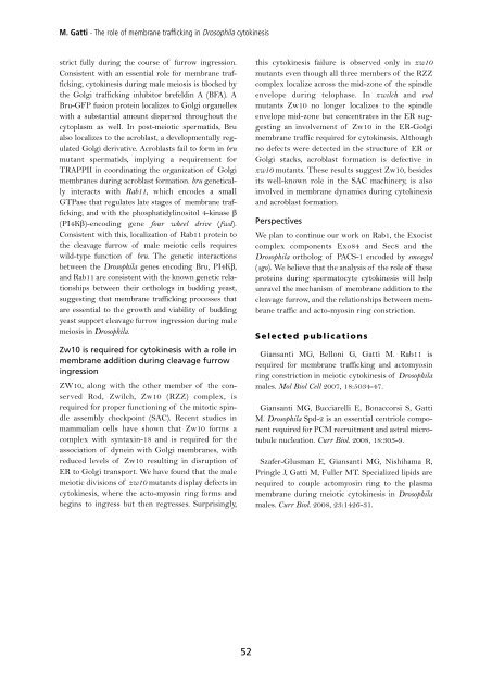 download report - Istituto Pasteur