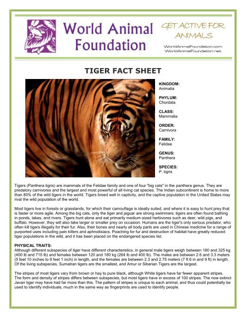 TIGER FACT SHEET - World Animal Foundation