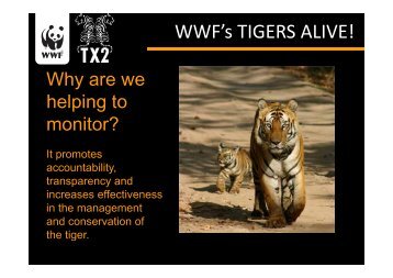 WWF's TIGERS ALIVE! - Global Tiger Initiative