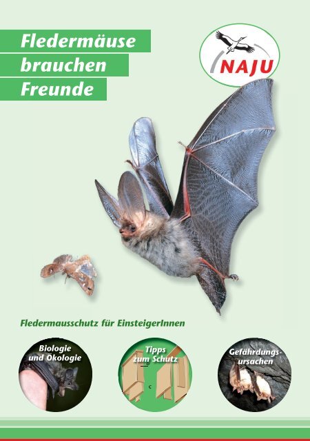 Fledermäuse brauchen Freunde