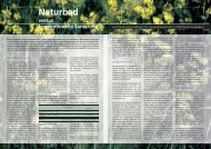 Naturbad versus konventionelle Sanierung - Hunziker Betatech AG