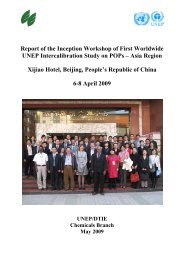 Minutes of the Inception Workshop of First ... - UNEP Chemicals