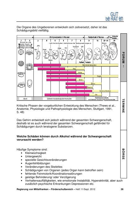 Heft 11 - ASchuM-Arbeitsgemeinschaft Schulberatung in Mittelfranken