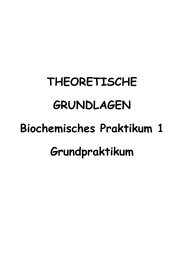 Biochemisches Praktikum 1 – Grundpraktikum