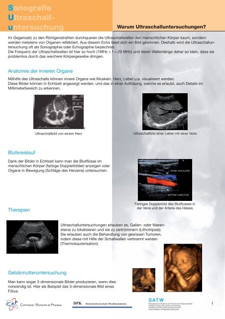 Sonografie Ultraschall- untersuchung