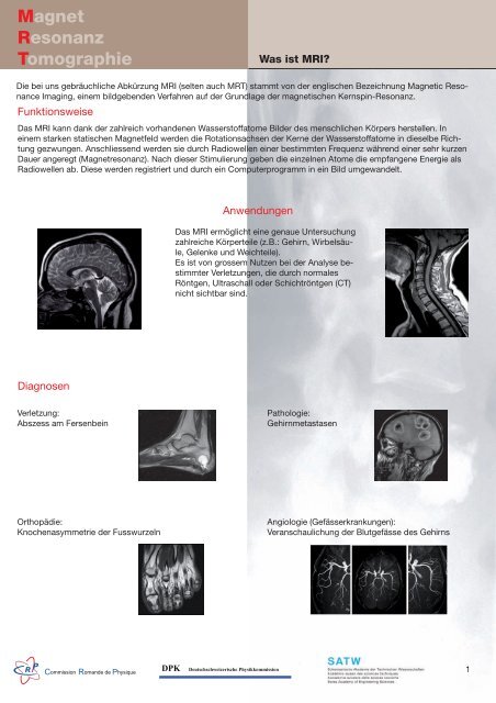 Sonografie Ultraschall- untersuchung