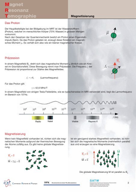 Sonografie Ultraschall- untersuchung