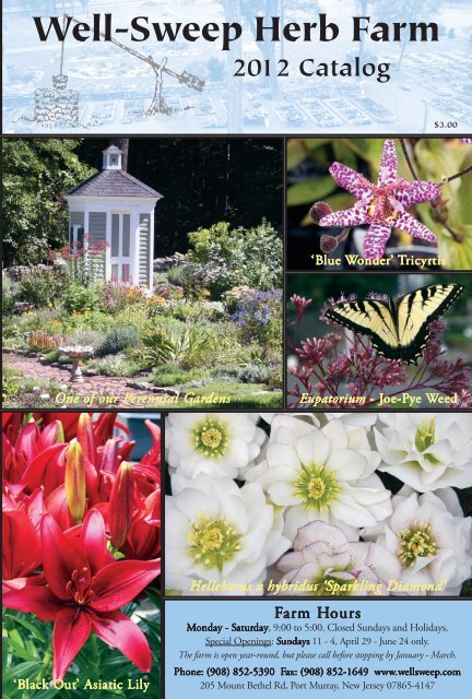 2012 Catalog Well Sweep Herb Farm