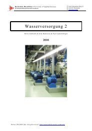 WaVers 2 2010 c.pdf - Hochschule RheinMain