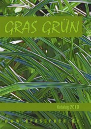 Headshop - Gras Grün