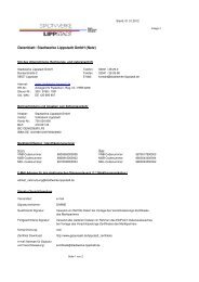Kontaktdatenblatt - Strom - Stadtwerke-Lippstadt