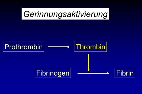 Grundlagen der Gerinnungsphysiologie, Thrombophilie und ...