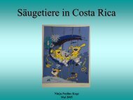 Säugetiere in Costa Rica - Biologie, Universität Ulm