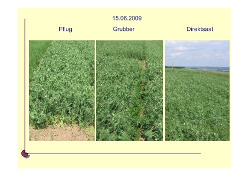 Optionen der reduzierten Bodenbearbeitung und Direktsaat im ...