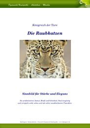 Die Raubkatzen - Ruth Sagerer