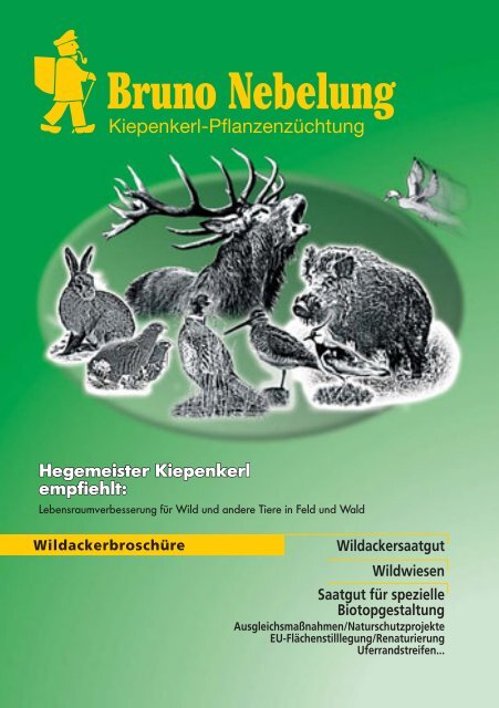 Wildackersaatgut, Wildwiesen, Saatgut für spezielle ... - Rasenshop