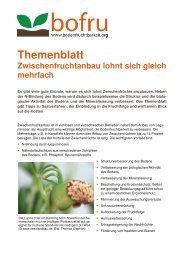 Themenblatt 