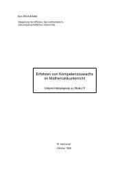 Erfahren von Kompetenzzuwachs im ... - SINUS transfer