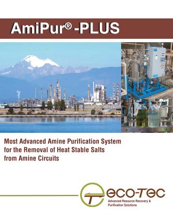 AmiPur® -PLUS AmiPur® -PLUS - Eco-Tec