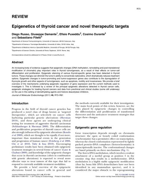 REVIEW Epigenetics of thyroid cancer and novel therapeutic targets