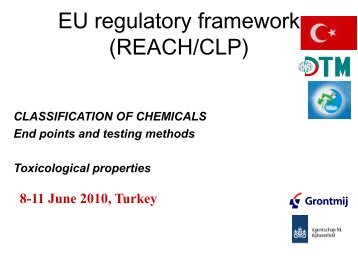 EU regulatory framework (REACH/CLP) - TOBB