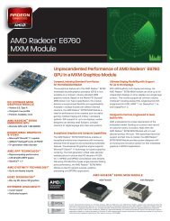 AMD Radeon™ E6760 MXM Module