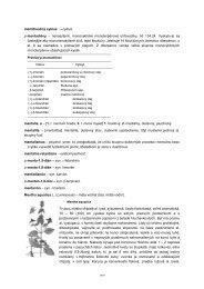 Elektrónové rotácie rezonancie fosílne datovania