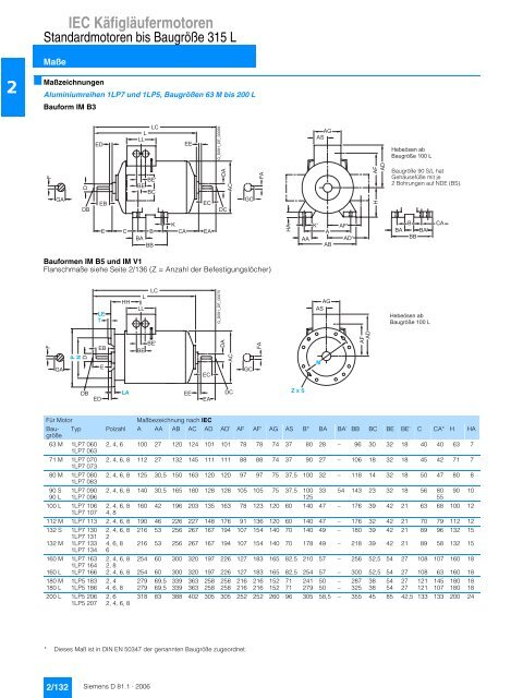 IEC Käfigläufermotoren