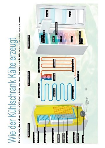 Wie der Kühlschrank Kälte erzeugt Ein Kältemittel, das in ... - Trussardi