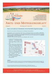 Mitteilungsblatt vom 31.01.2013 - Markt Bechhofen