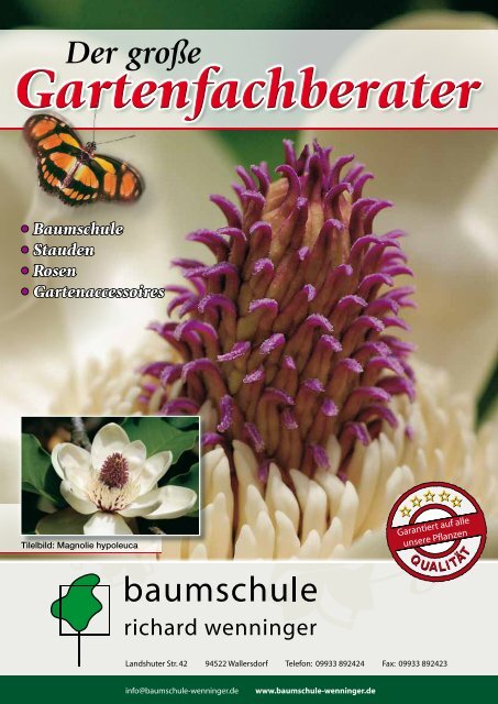 rote Prachtlilie hat wunderschöne bizzare große Blüten **Die tolle Saatgut.