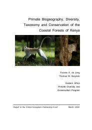 Primate Biogeography, Diversity, Taxonomy and ... - Wild Solutions