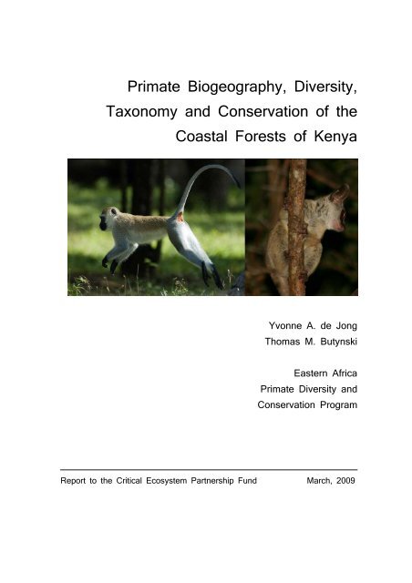 Primate Biogeography, Diversity, Taxonomy and ... - Wild Solutions