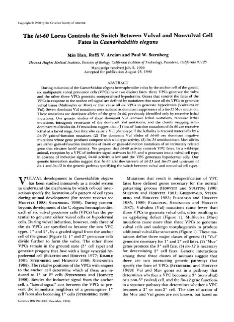 The let-60 Locus Controls the Switch Between Vulval and ... - Genetics