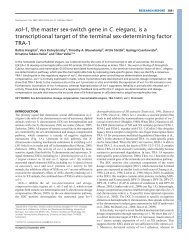 xol-1, the master sex-switch gene in C. elegans, is a ... - Development