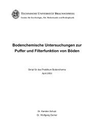 Skript zum Praktikum Bodenchemie, SS2003 - Abteilung ...