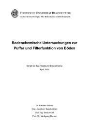 Bodenchemische Untersuchungen zur Puffer und Filterfunktion von ...