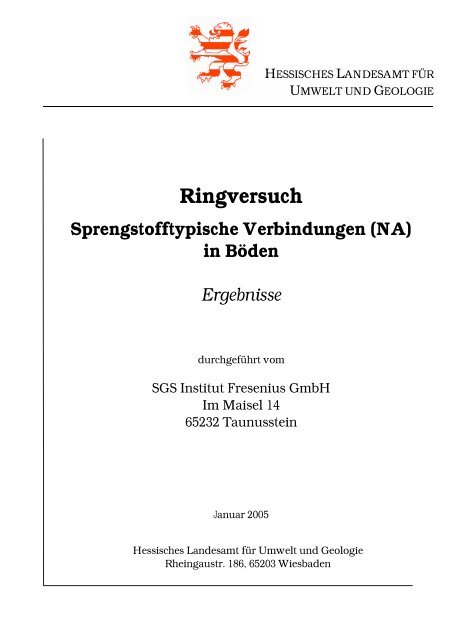 RV STV Abschlußbericht - Hessisches Landesamt für Umwelt und ...