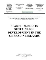 stakeholders in sustainable development in the grenadine islands