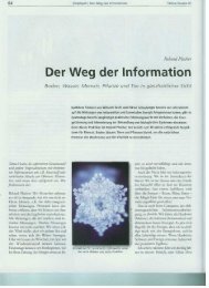 Biophysik | Der Weg der Information